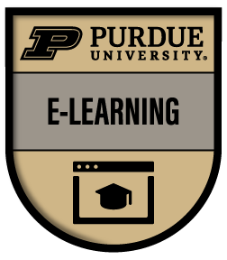 Interactive e-Learning badge