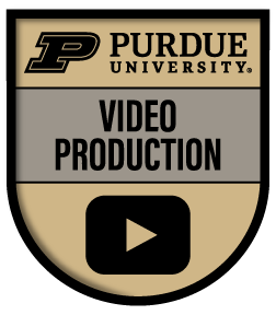 Video Production and Editing
